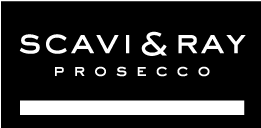 Logo Scavi And Ray